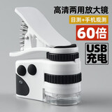 博视乐（Boshile）50倍带灯显微镜高倍便携验钞放大镜珠宝玉器古董字画文玩邮票鉴定 60倍USB充电-白光+紫光