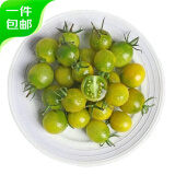 京地达山东寿光青口蜜小番茄2.25kg装 圣女果小西红柿 源头直发
