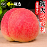 新鲜露天水蜜桃5斤桃子当季现摘水果冬桃软毛桃子脆甜 净重5斤 露天水蜜桃【单果100g+】