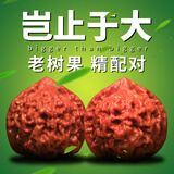 山中玉文玩核桃狮子头手把玩古麻核桃核头蛤蟆手盘把件男女士中秋节礼物 进阶级46-47官帽1对