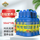 德沃多水培植物营养液50ml*5园艺绿植花肥料液体肥有机浓缩肥盆栽叶面肥
