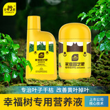 史丹利【爆款搭档】幸福树专用型营养液500ml+缓释肥颗粒450g
