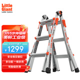 雷都捷特（LittleGiant） 伸缩人字梯/直梯可折叠多功能梯子铝合金家用/工程梯15413-001