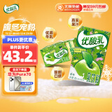 伊利优酸乳原味250ml*24盒/整箱乳饮料 礼盒装