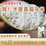 瑶米姐姐瑶山丝苗米 正宗丝苗米猫牙米 2024新米 蛋炒饭煲仔饭专用 真空装 现磨现发5斤装(2.5kg*1袋)
