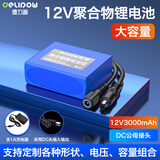 德力普（Delipow）12v锂电池组聚合物移动电源大容量带显示屏24V可充电户外音响/太阳能路灯/监控设备/防蜂服led灯等 12V3000mAh【送1A充电器】