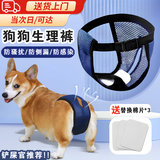 智宙狗狗生理裤姨妈裤母狗专用宠物内裤经期防骚扰卫生巾安全裤月经裤 蓝色生理裤-【送替换棉三片】 M【建议13-23斤】
