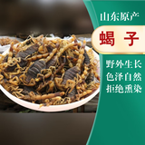 康裕尊  蜈蚣无竹签蜈公整条另售全虫 山东【蝎子/100g】
