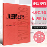正版小奏鸣曲集 钢琴初级阶段教材教程曲谱五线谱 人民音乐社 库劳克列门蒂 初级钢琴基础练习曲库劳贝多芬小奏鸣曲钢琴书