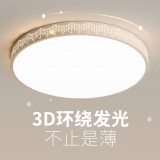 索亚达（suoyada）2023年新款主卧室灯LED吸顶灯简约现代大气圆形阳台客厅房间灯具 圆40cm三色变光24w