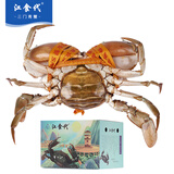 【活蟹】江食代三门青蟹 大红母膏蟹（6-7两/只）3只/件鲜活螃蟹生鲜礼盒源头直发包邮 