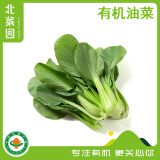 北菜园油菜有机油菜250g（上海青）新鲜蔬菜【进店多样加购】火锅食材 250g/份