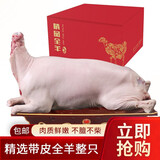 好袁頭内蒙古散养羔羊肉生鲜烧烤全羊整只白条全羊火锅礼盒装送礼 带皮全羊整只20斤