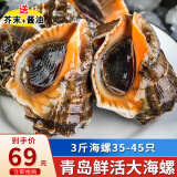 海宏盈【活鲜】 青岛大海螺鲜活 1500g 海鲜贝类生鲜 小规格共35-45只 1500g