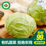 小汤山 有机圆白菜 约600g 有机蔬菜基地种植当天采摘