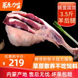 【配炖肉料】斗牧 草原力生内蒙古羊腿3.5斤锡盟羊肉草原散养清真新鲜带骨羔羊腿肉烤羊腿火锅食材