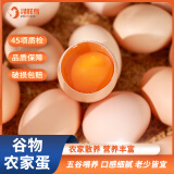 寻鲜鸟土鸡蛋 农家散养 谷物喂养 笨鸡蛋 月子蛋 鲜鸡蛋无抗生素鸡蛋 10枚装/盒