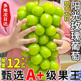 果益寿江苏阳光玫瑰葡萄【JD闪送】晴王葡萄青提子双11百亿补贴水果盒装 果王级4斤手提礼盒装单粒12-14g
