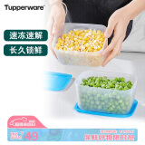 特百惠（Tupperware）冰箱冷冻保鲜盒700ml*2件套速冻肉类食品级方形收纳盒可送礼