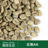 绿之素 云南AA咖啡生豆原料 云南小粒生咖啡豆 水洗咖啡豆500g