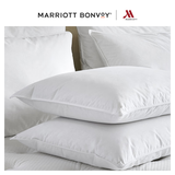 SHOPMARRIOTT 万豪五星级酒店枕头 白鸭绒 羽绒羽毛单人枕芯 四季纯棉低枕软枕 51×76 cm（单只）