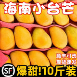 正宗小台农芒果新鲜水果10斤小芒果鲜果整箱应季当季海南热带水果 【中果装】高性价比 小台芒3斤净