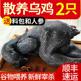 王氏正德 鸡 乌鸡 农家散养乌骨鸡 新鲜冷冻现杀生鲜月子鸡 鸡肉整只 发2只 净重800g/只 送料包+鲜参