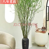 雅卉龙柳干树枝水培龙柳鲜枝水养懒人植物室内客厅落地长杆鲜花1.5米 龙柳20枝1.5米左右高