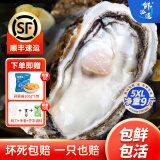 鲜海道【活鲜】鲜海道生蚝  乳山牡蛎 新鲜海蛎子生鲜贝类 超大5XL号9斤送两袋蒜蓉酱