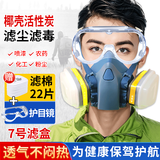 特郎净防毒防尘面具口罩防有机气体化工打磨水泥喷漆木工农药类面罩