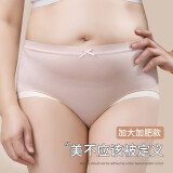 雅鹿4条装高腰内裤女士纯色棉抗菌大码胖mm收腹提臀女式短裤头夏 D 豆沙+玫紫+肤色+灰蓝 4条 L 【100-130斤】