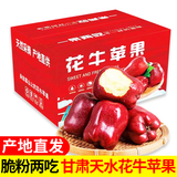 金百粟甘肃天水花牛苹果粉面红蛇大果 老人婴儿当季新鲜苹果水果生鲜 净重8.5斤(约24-26个) 彩礼箱
