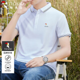 啄木鸟（TUCANO）短袖t恤男士夏季商务休闲韩版纯色polo透气百搭上衣男装 白色 XL