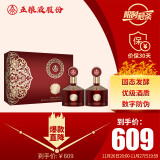 五粮液股份 金碧辉煌 东方红韵 浓香型白酒 52度500ml*2瓶礼盒送礼宴饮