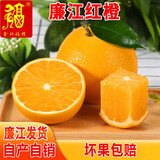 金秋福猴正宗红橙廉江红橙红江农场橙子红心橙湛江红光橙现摘特产礼盒当季 一箱净重5斤 一般果 自产自销 正宗廉江红橙