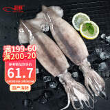 初鲜鲜冻整条大鱿鱼2-3条净重1kg 铁板鱿鱼火锅烧烤海鲜水产 生鲜送礼