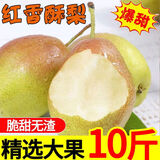 柏馋【脆香甜】现摘现发新鲜红香酥梨新鲜水果 新鲜脆甜香梨当季新果 3斤  【实惠装】