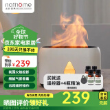 北欧欧慕（nathome） 香薰机仿真火焰加湿器卧室家用办公室夜灯桌面迷你低噪空气增湿机送好友礼物NJH18送女友礼物 三档定时 远程遥控【冰川白+精油4瓶】