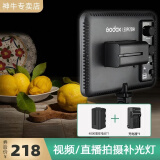 神牛（Godox） p120C摄影灯LED补光灯直播网红主播婚庆可调色温摄像灯平板柔灯相机录像常亮灯 【套装3】P120C补光灯+4000电池+充电器