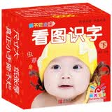 阳光宝贝 0-6岁早教撕不烂全卡 看图识字（下） 