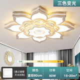 灵翔之光轻奢客厅灯简约现代异形大厅大灯大尺寸花朵led吸顶灯2025年新款 80cm三色80W适用15-25㎡