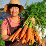 美邻惠享家山东寿光新鲜胡萝卜 4.5斤装 新鲜蔬菜带泥发货源头直发