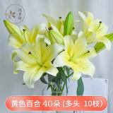 悦多彩AB级优质香水百合 家庭办公室各色生活鲜花 昆明基地 现采直发 黄色百合花40朵（多头10枝，花苞易断）