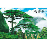 ZSTO山水风景画客厅装饰画年画办公室墙贴餐厅贴画纸画中式海报带瀑布 B465 迎客松风景 95厘米X145厘米无框画 备注型号