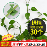 花沃里绿萝固定器中号30个 绿植免钉贴墙自粘式挂钩藤蔓植物攀爬夹子