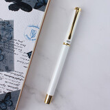 英雄（HERO）钢笔小学生三年级暗尖书写练字笔可刻字男生女孩子签字笔1302D 白色