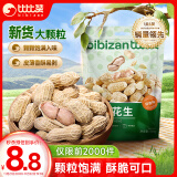 比比赞（BIBIZAN）龙岩花生蒜香味500g/袋 每日坚果炒货带壳干果小吃休闲零食品