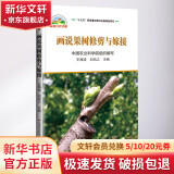 画说果树修剪与嫁接