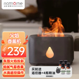 北欧欧慕（nathome） 香薰机仿真火焰加湿器卧室家用办公室夜灯桌面迷你低噪空气增湿机送好友礼物NJH18送女友礼物 三档定时 远程遥控【流星灰+精油4瓶】