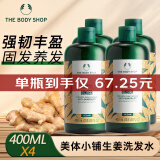 美体小铺（The Body Shop）生姜洗发水400ml*4去屑止痒控油洗发露 强健发质改善毛糙洗头膏